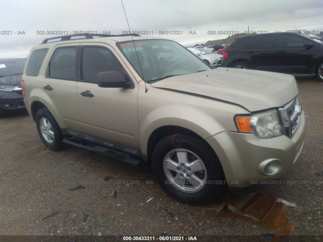 Ford Escape (2010)
