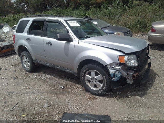 Ford Escape (2010)