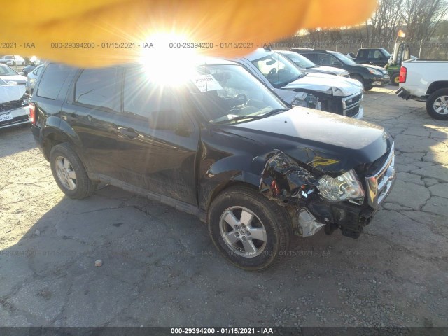 Ford Escape (2010)