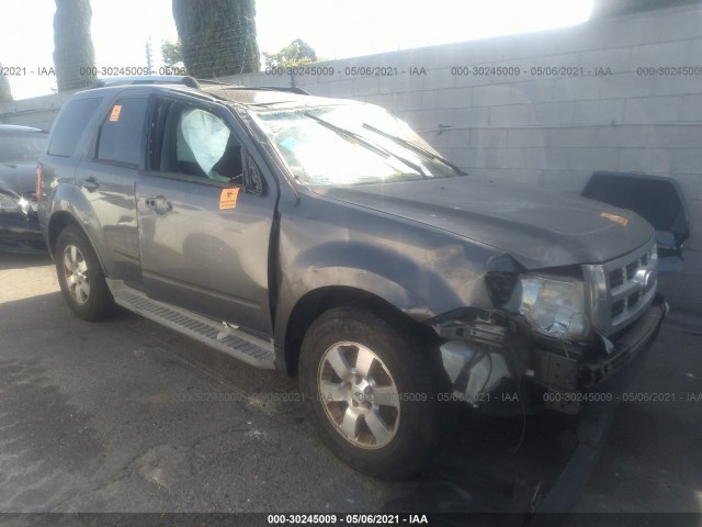 Ford Escape (2010)