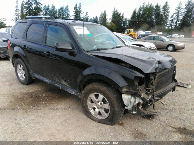 Ford Escape (2010)