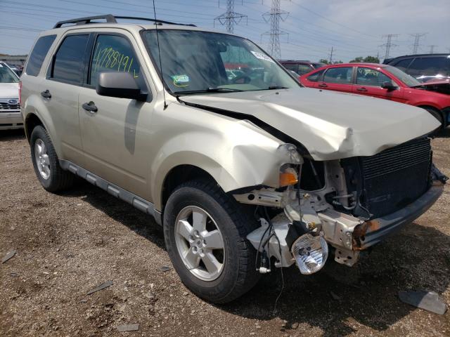 Ford Escape xlt (2010)