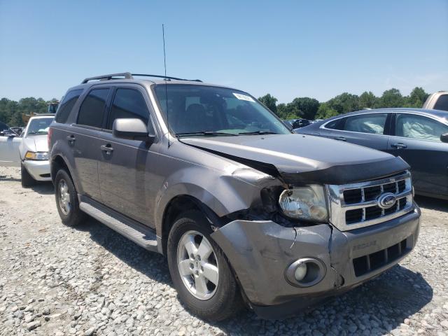 Ford Escape xlt (2010)