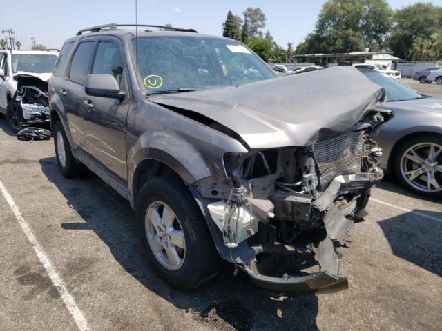 Ford Escape xlt (2010)