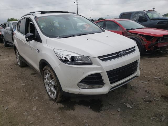 Ford Escape tit (2013)