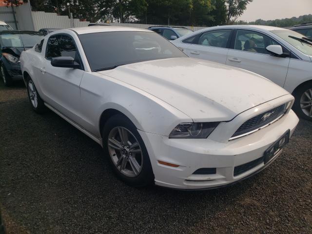 Ford Mustang (2013)