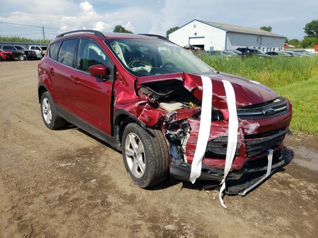 Ford Escape se (2014)