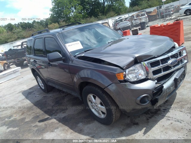 Ford Escape (2010)