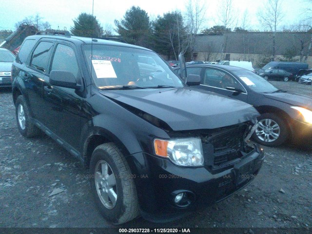 Ford Escape (2011)