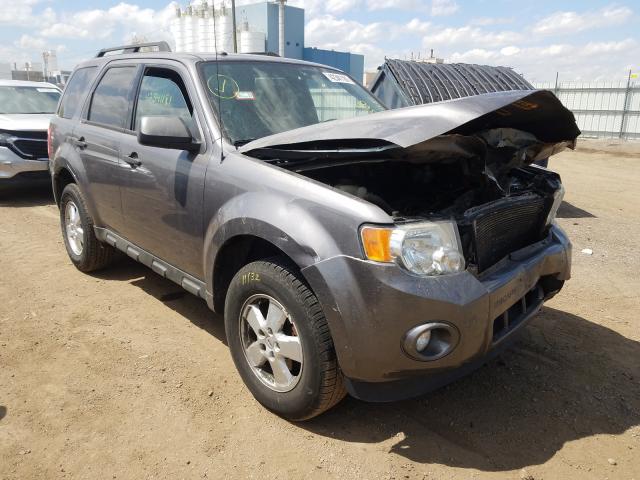 Ford Escape xlt (2011)
