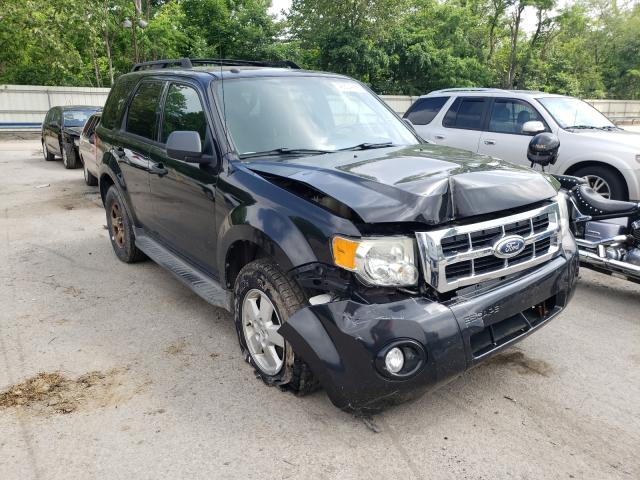Ford Escape xlt (2011)