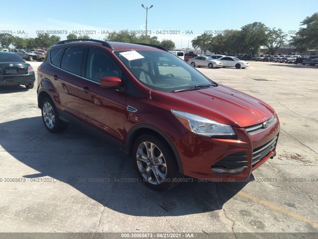 Ford Escape (2014)