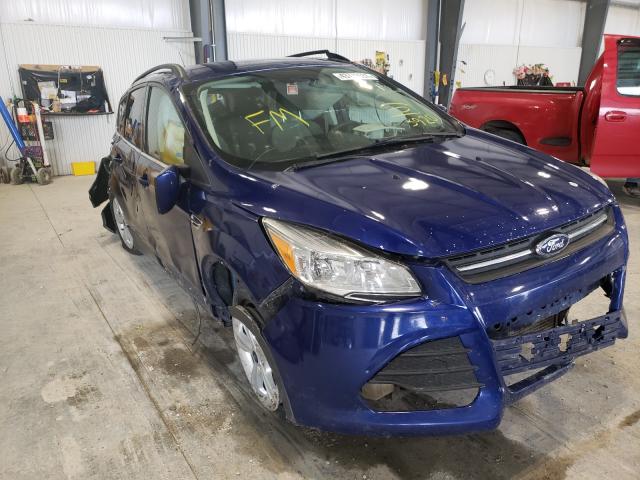 Ford Escape se (2014)