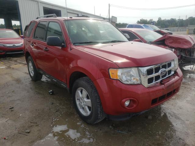 Ford Escape xlt (2010)
