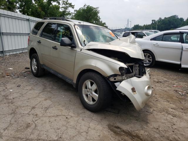 Ford Escape xlt (2010)