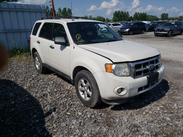 Ford Escape xlt (2010)