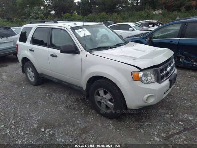 Ford Escape (2011)