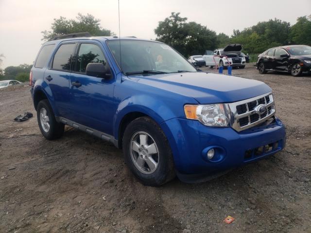 Ford Escape xlt (2011)