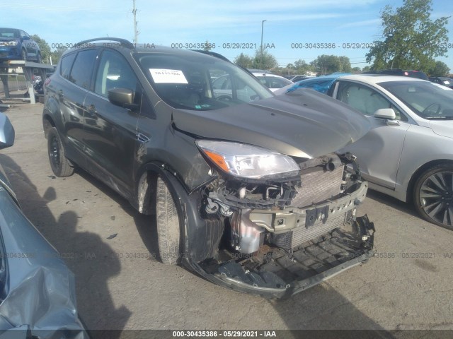 Ford Escape (2014)