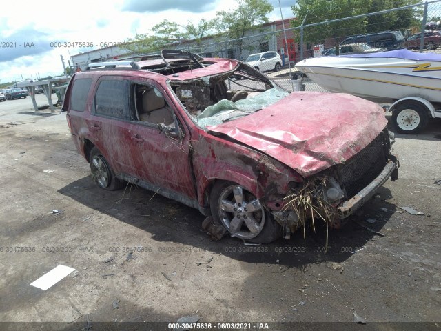 Ford Escape (2010)