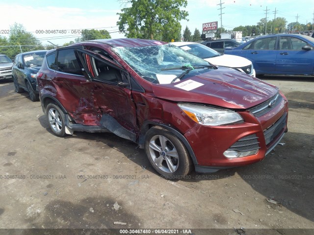 Ford Escape (2014)