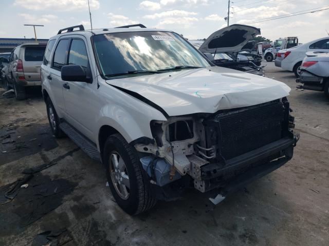 Ford Escape xlt (2010)