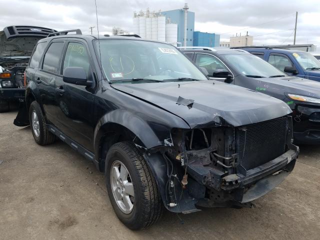 Ford Escape xlt (2011)