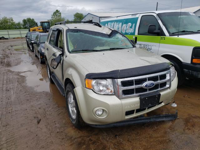 Ford Escape xlt (2010)
