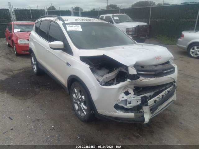 Ford Escape (2014)