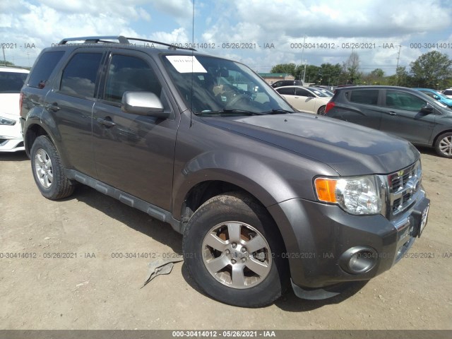 Ford Escape (2010)