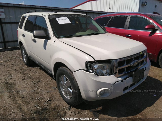 Ford Escape (2010)