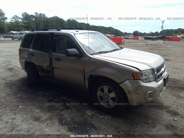 Ford Escape (2011)