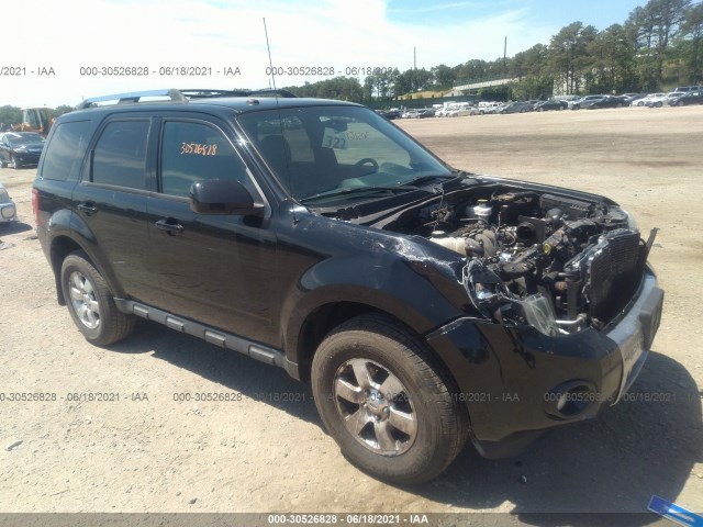 Ford Escape (2012)
