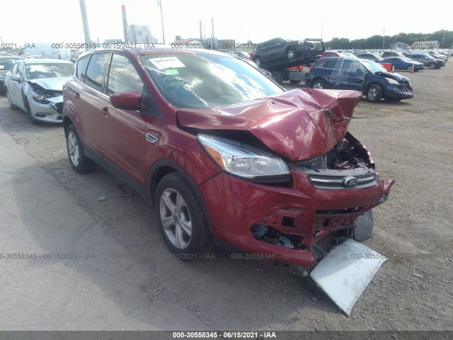 Ford Escape (2015)