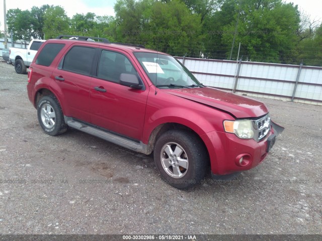 Ford Escape (2010)