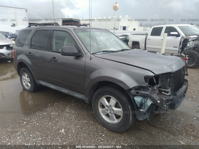 Ford Escape (2010)