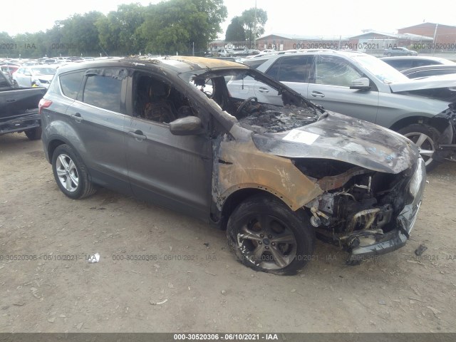 Ford Escape (2014)