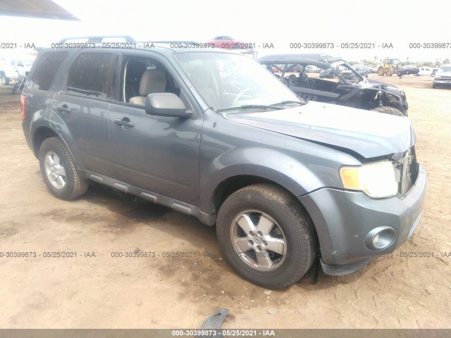 Ford Escape (2010)