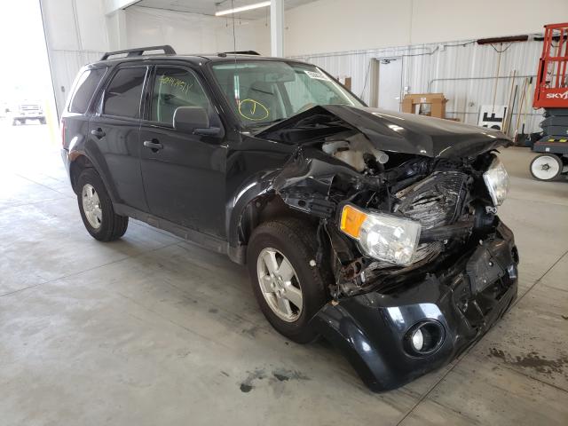 Ford Escape xlt (2010)