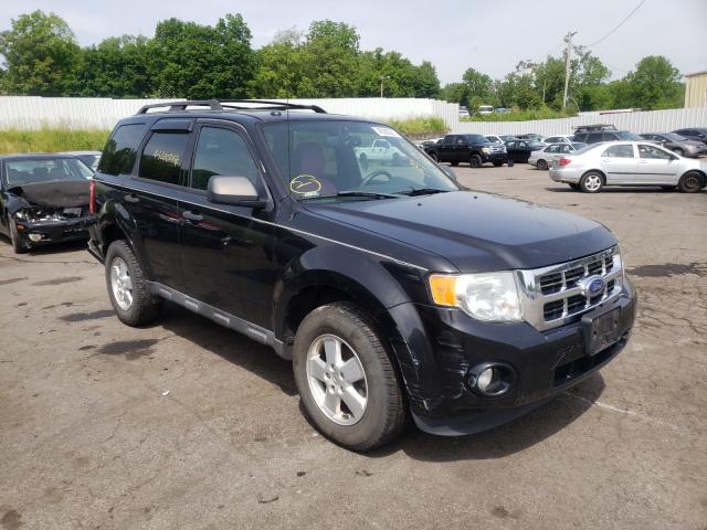 Ford Escape xlt (2011)
