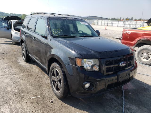 Ford Escape xlt (2011)