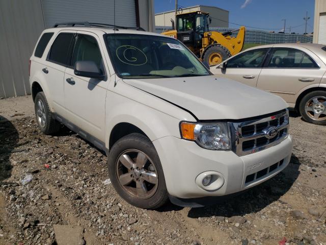 Ford Escape xlt (2012)