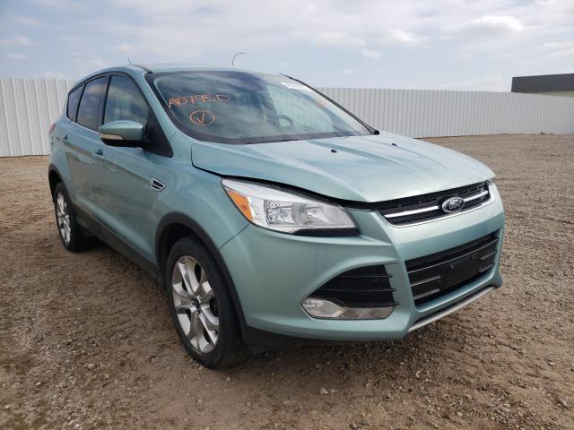 Ford Escape sel (2013)