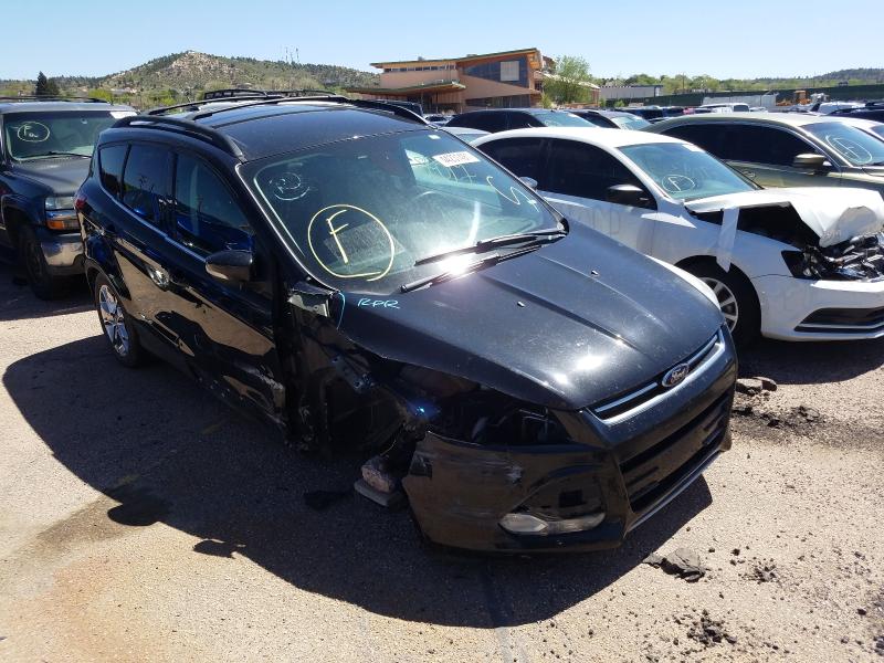 Ford Escape sel (2013)