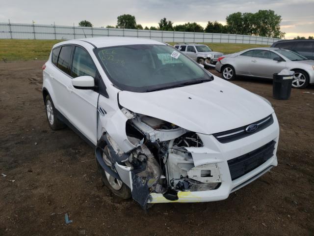 Ford Escape se (2014)