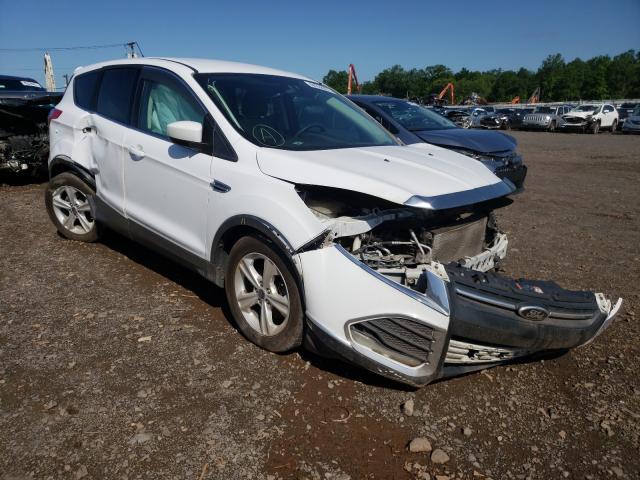 Ford Escape se (2014)