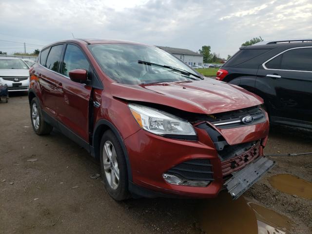 Ford Escape se (2015)