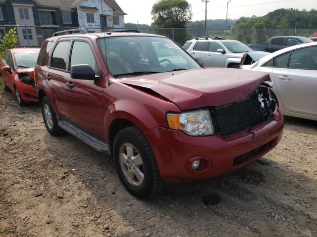 Ford Escape xlt (2010)