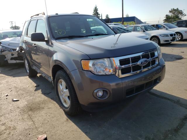 Ford Escape xlt (2011)