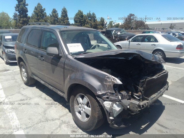 Ford Escape (2010)